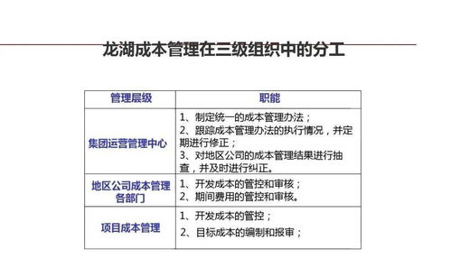 龍湖集團企業(yè)管理與運營的精細化管理及其軟件開發(fā)實踐